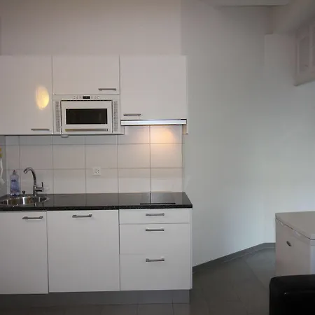 Swiss Star Oerlikon Apartment